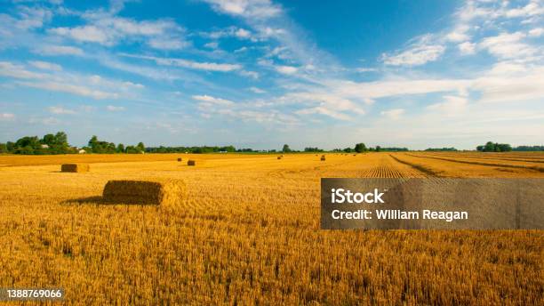 Straw Bales After The Wheat Harvestfulton Countyindiana Stock Photo - Download Image Now
