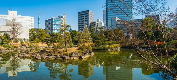 Tokyo Skytree overlooking the traditional Japanese gardens of Yasuda public park surrounded by skyscrapers reflecting in a tranquil lake in the Sumida district of central Tokyo, Japan’s vibrant capital city.