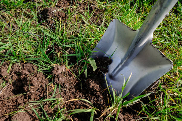 istock Farmland, Agriculture Concept 1388770395