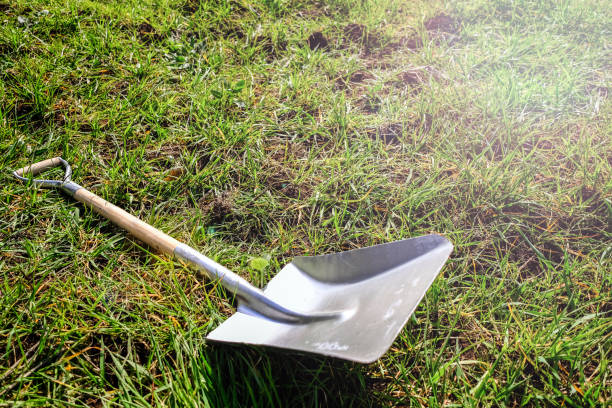 istock Farmland, Agriculture Concept 1388770561