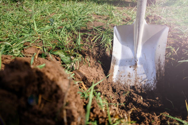 istock Farmland, Agriculture Concept 1388770612