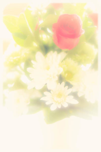 istock blurred background of sweet flower 1388773563