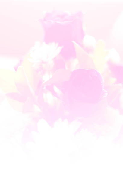 blurred background of sweet color flower