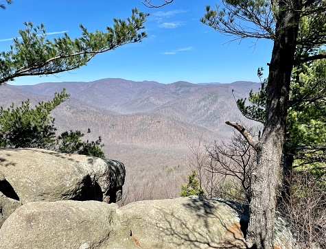 Winter Wilderness - West Virginia