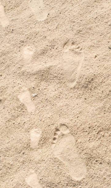 huellas humanos - sand footprint track following fotografías e imágenes de stock