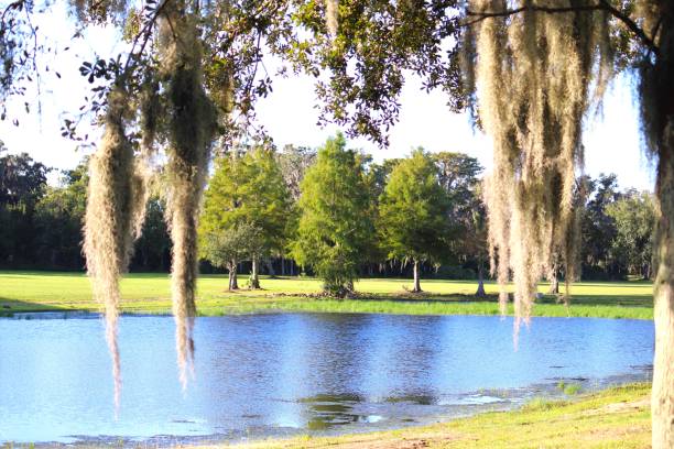 Walking around a park near Orlando Florida enjoying the nature beauty of the trees, the moss, the water, and the grass.