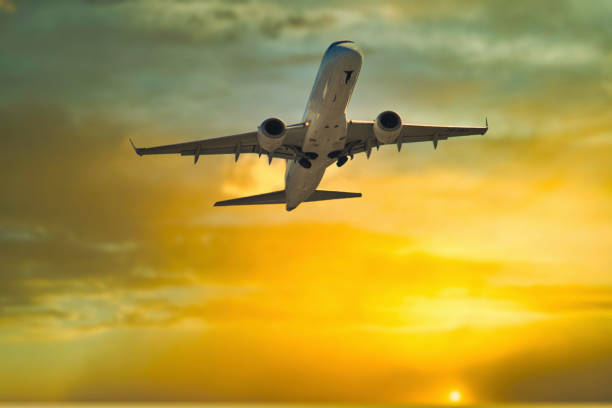 istock Airplane with moody sky 1388787231