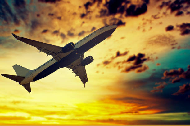 istock Airplane with moody sky 1388787301