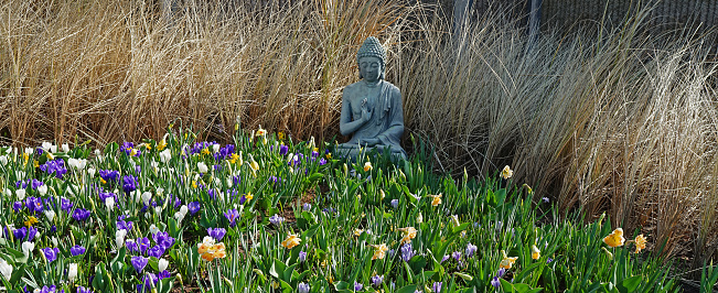 A blue Buddha is showing the hand gesture of Fearlessness  (Abhaya Mudra ) He sits behind a colourful crocus field. Behind him is dried grass