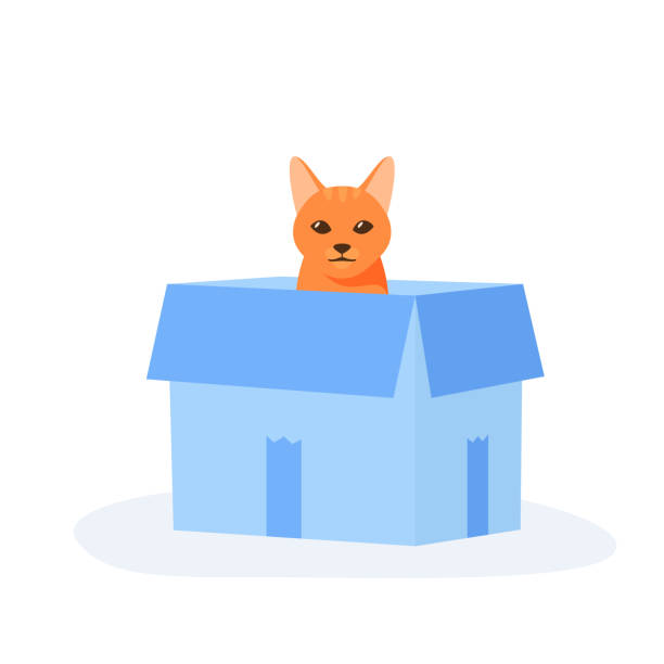 ilustrações de stock, clip art, desenhos animados e ícones de ginger cat sits in box. cute indoor pet plays in paper case. hiding and resting place for fluffy fiend. flat style vector - cat box