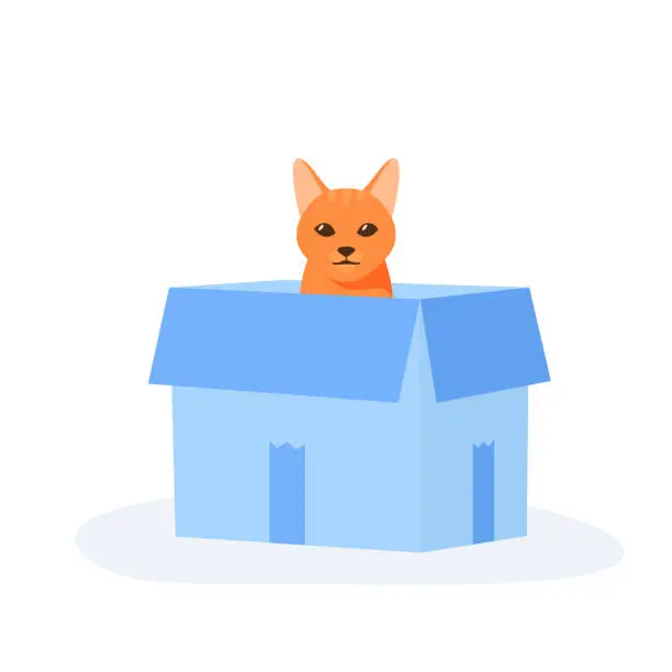 Vector illustration of Ginger cat sits in box. Cute indoor pet plays in paper case. Hiding and resting place for fluffy fiend. Flat style vector