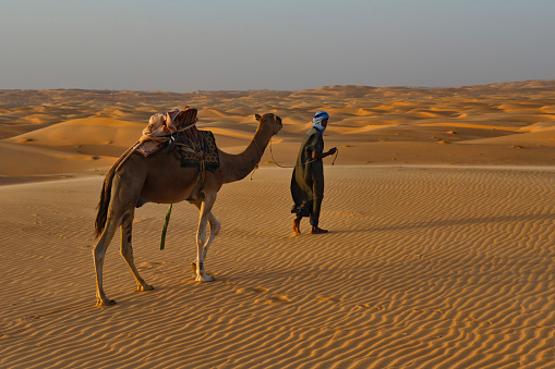 Shingetti. Mauritania. October 05, 2021. A lonely Moor in national dress leads a loaded one-humped camel through the sandy dunes of the Sahara Desert.