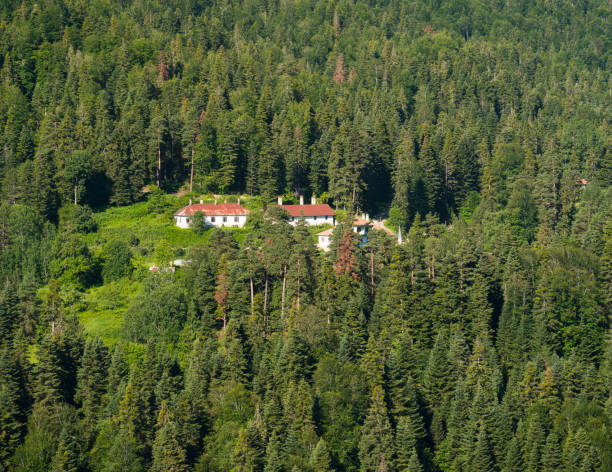 Old village in the forest. Abandoned forest village. destroyed buildings in the forest.
