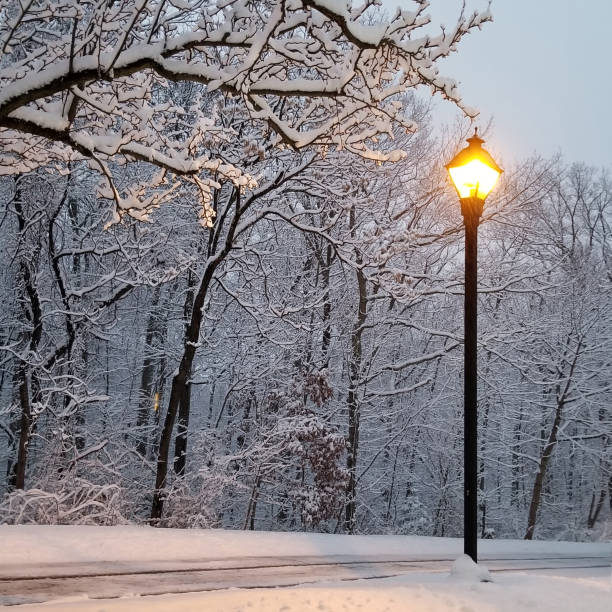 istock Snow Day in the Country 1388804143