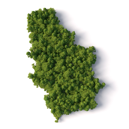 3d forest in shape of Serbia map, isolated on white