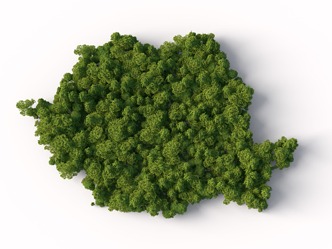 3d forest in shape of Romania map, isolated on white