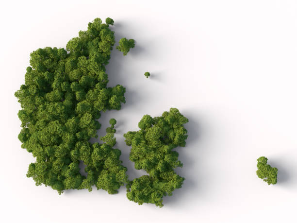 Forest in shape of Denmark map