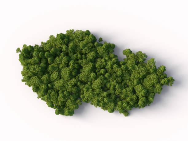istock Forest in shape of Czech Republic map 1388806958