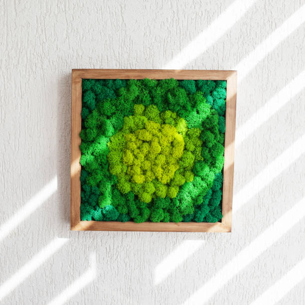 istock Stabilized multicolored Icelandic moss in the interior. Panel of green moss on the wall. Wall decoration with moss. Green moss texture in wooden frame, backdround. Copy space 1388808799