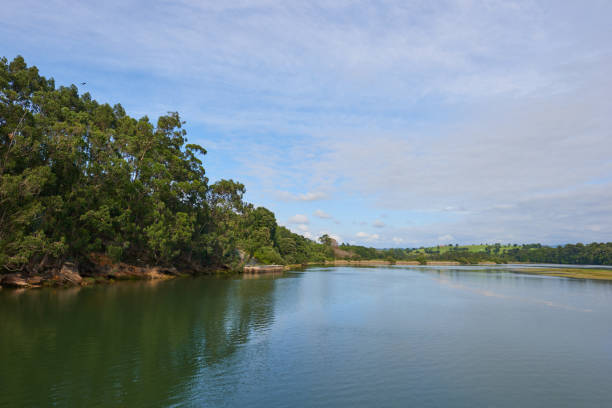 istock A river with vegetation along its banks under a cloudy sky 1388810048