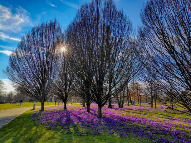 Landscape in Westfalenpark