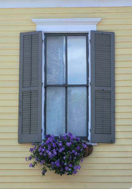 istock Window flower basket with green storm shutters 1388811345