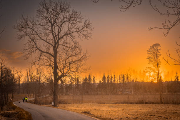 istock rural road in the mountainous area 1388812754