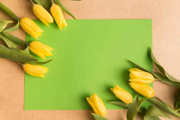 istock Tulips are yellow on a light background background , green leaf for text. 1388812789
