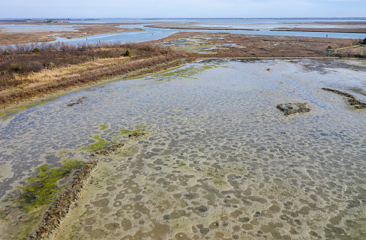 Coastal salt marshes and mudflats of Torcello island in Venetian lagoon, Italy