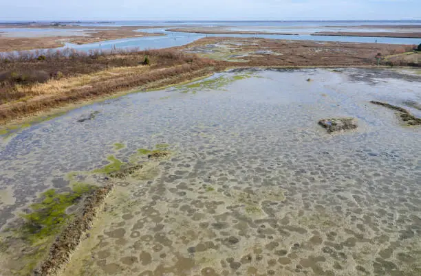 Coastal salt marshes and mudflats of Torcello island in the Lagoon of Venice, Italy