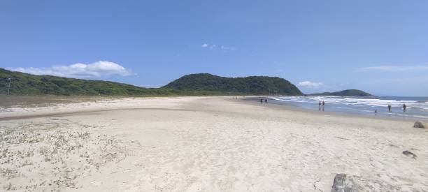 istock Huge beach in Brazil 1388814958