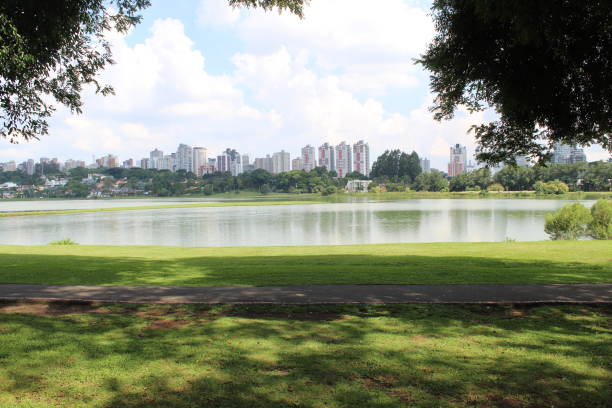 istock Landscape in the park 1388815576