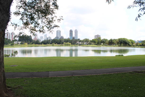 istock Landscape in a park 1388815579