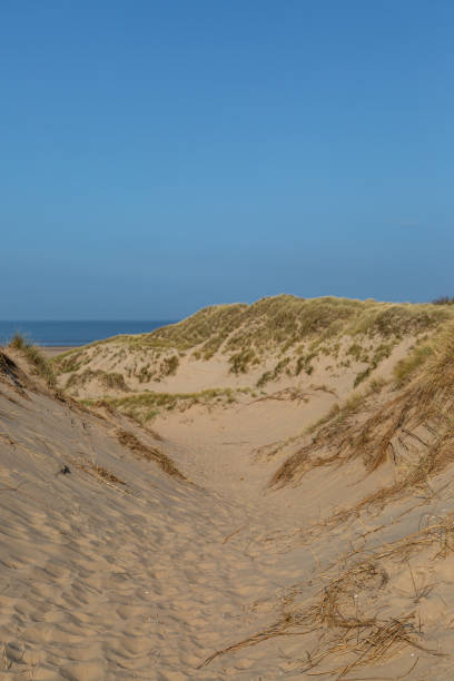 istock Sand dunes with the ocean behind, at the Merseyside coast 1388815661