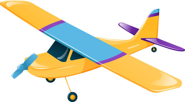 Small Plane Cartoon Illustrations, Royalty-Free Vector Graphics & Clip Art  - iStock