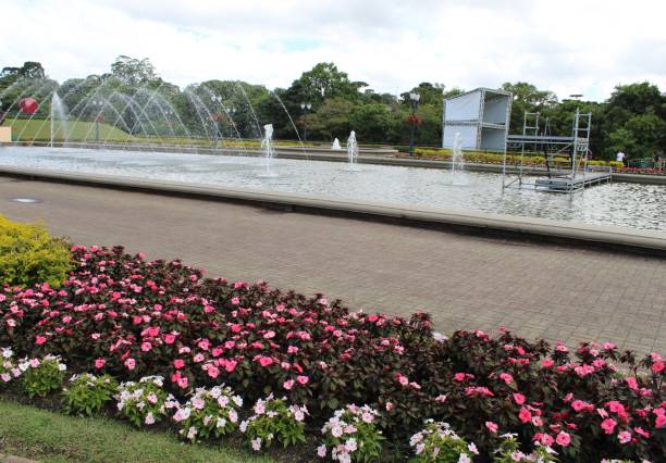 istock Flowers and fountain 1388818152