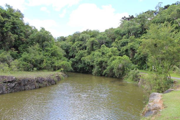 istock River in the city 1388818206