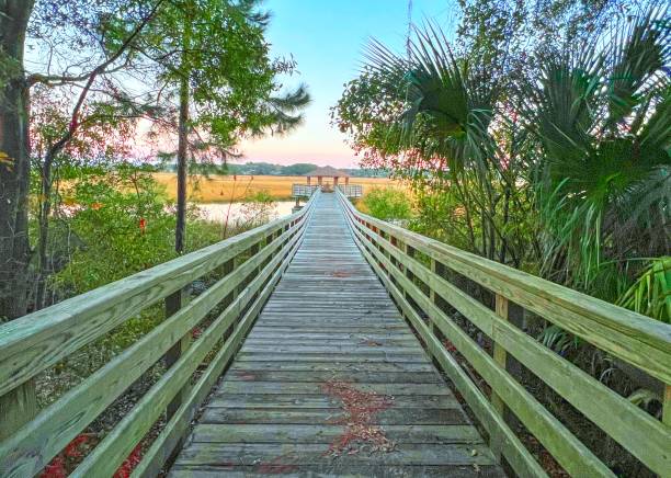 istock Marsh View from Freedom Park-Hilton Head,South Carolina 1388820037
