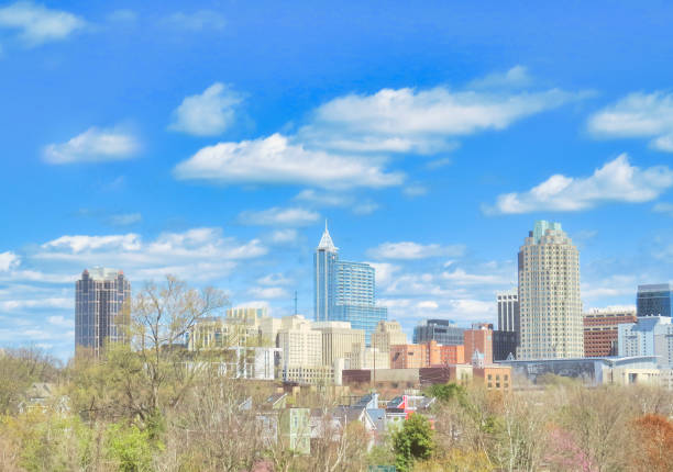 istock Raleigh NC High Key Skyline 1388821130