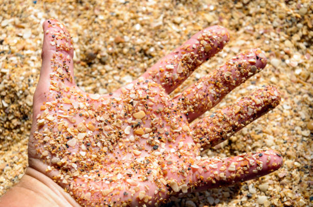 istock Man's hand covered with sand and shell rock 1388821853