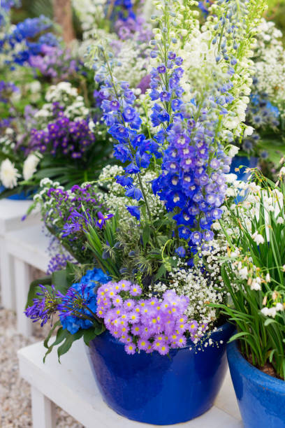istock Composition of blue flowers in a pot 1388823772