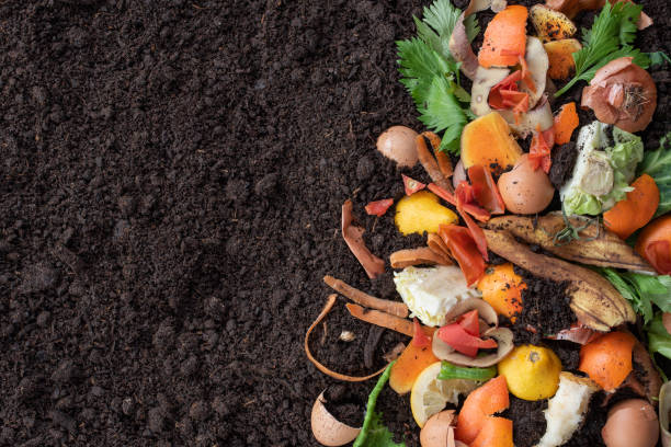 istock Organic waste and black soil with a copy space 1388825269