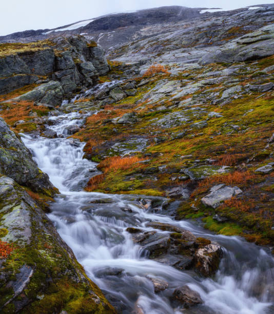 istock A stream flowing down the valley from the norwegian mountains 1388825595