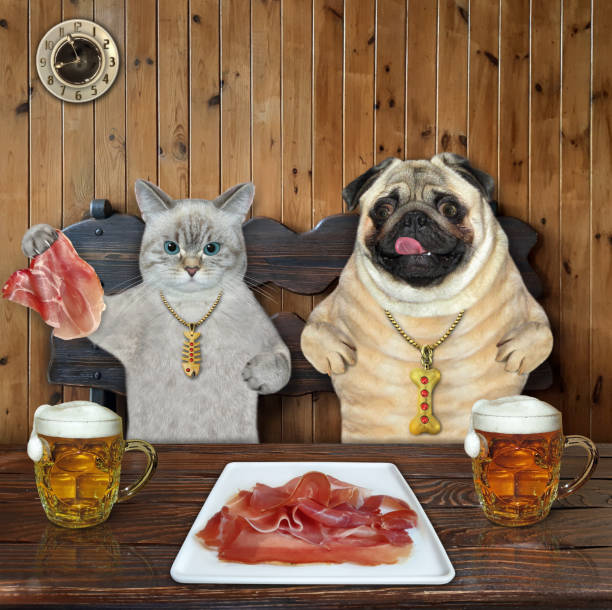 cat ashen and dog pug eating in restaurant - smoked tongue imagens e fotografias de stock