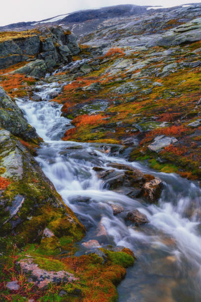 istock A stream flowing down the valley from the norwegian mountains 1388827627