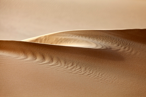 Natural pattern of the sand dune in the desert in Abu Dhabi. Closeup abstract texture. High quality photo.
