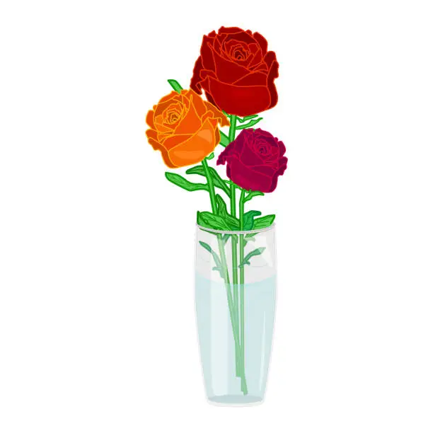 Vector illustration of Glass vase with roses isolated on white background. Red roses bouquet in glass bowl with water.