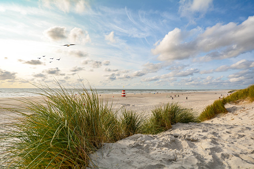 Lighthouse at the Wadden island Texel in the dunes during a calm autumn afternoon with reflections on the North Sea beach. The Eierland lighthouse is located at the North point of the island.