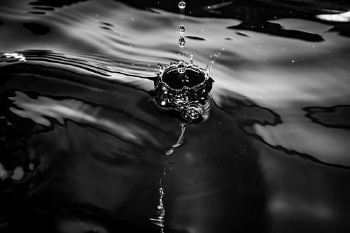 Splashes and waves close up from water drops on a liquid surface. Black and white photo.
