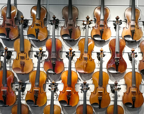Types of violins